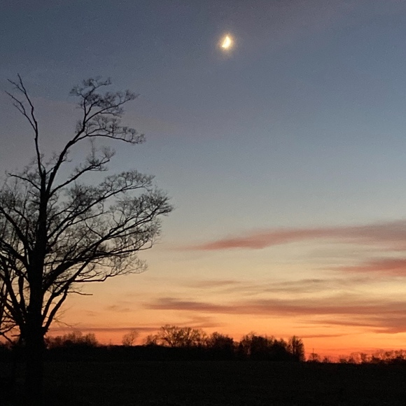 Meet your Posher, Jerry - Picture 1 of 1